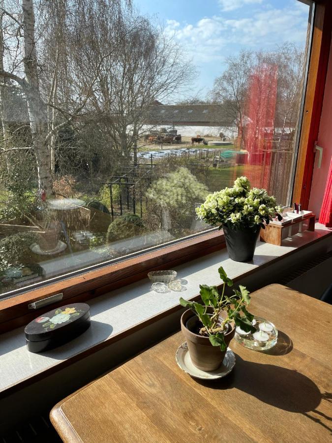 コリンドRetro Bolig - Fyldt Med Hygge! Ingen Luksusアパートメント エクステリア 写真